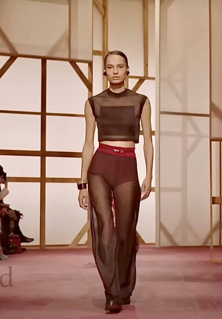 model wearing a brown sheer outfit with panels